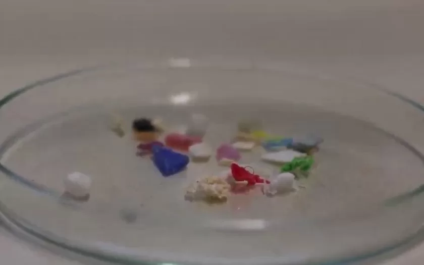 microplasticos