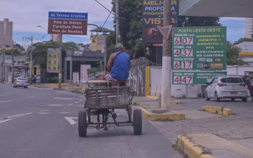 carroceiros-belo-horizonte