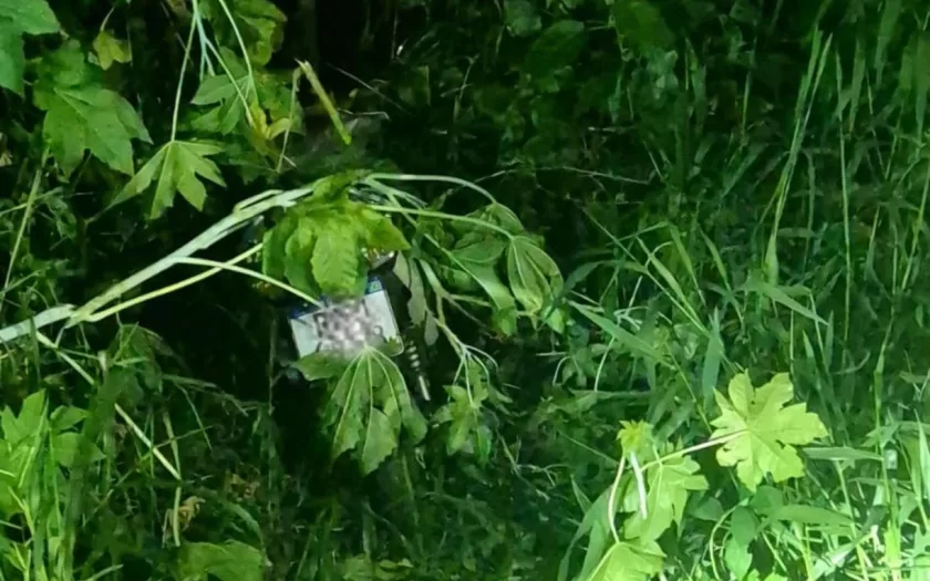 feminicidio-pouso-alegre