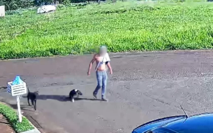 homem-preso-maus-tratos-animal-minas-gerais