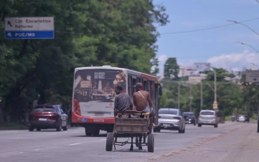 justica-suspende-multas-carroceiros-bh