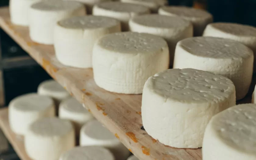 mestrado-queijo-artesanal