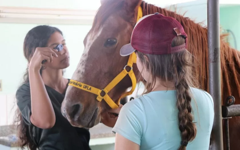 residencia-veterinaria-ufla