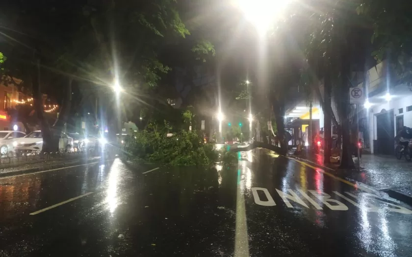 temporal-bh-quedas-arvores-alerta