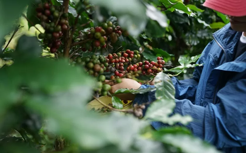 jornada-de-trabalho-rural