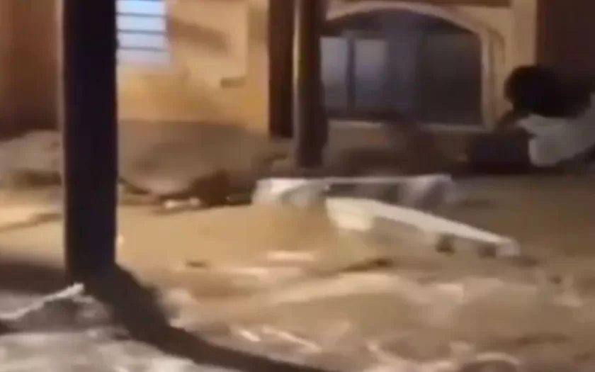 temporal-atinge-uba-mg