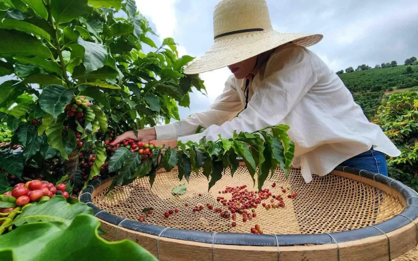 credito-rural-mulheres