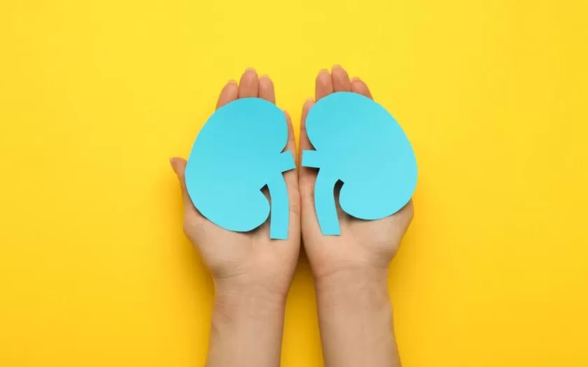 exames-gratuitos-saude-renal-bh-jf